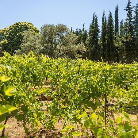 Gullu Konaklari Selçuk Esterno foto